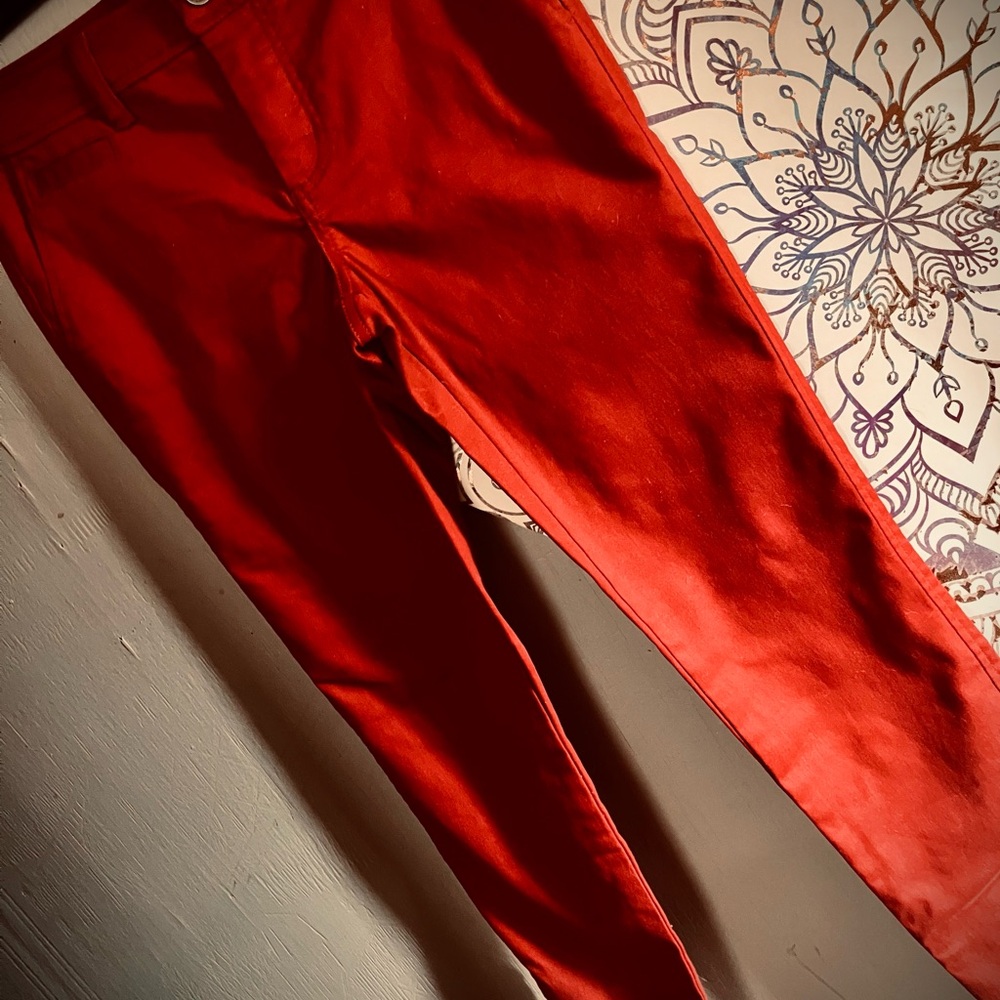 NWOT 41 Hawthorn Brick Red Pants